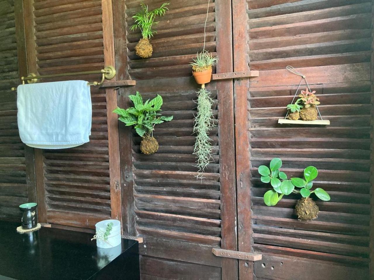 La Maison D'Indochine Hoi An Exteriér fotografie